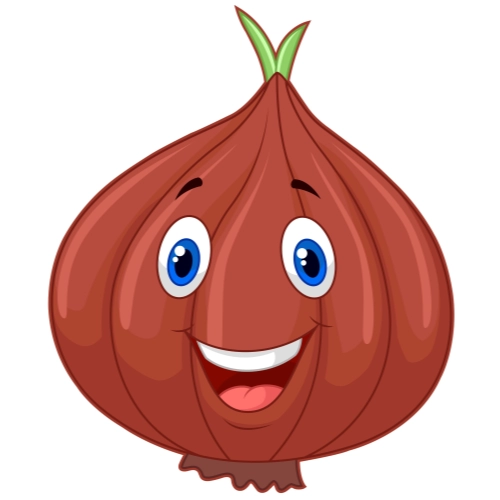 Craft Supply Classroom Cutout – Cartoon or Plain Onion Vegetable Cutout